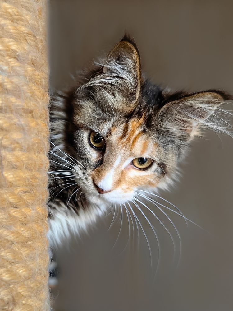 Photograph by Дарья Лисицына