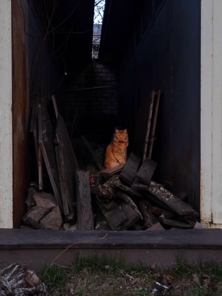 Photograph by Алина