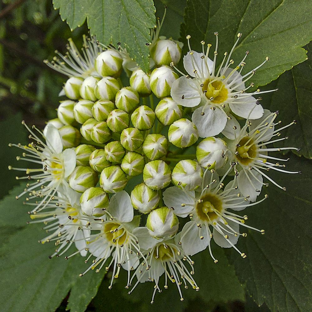 Photograph by Владимир Баулин