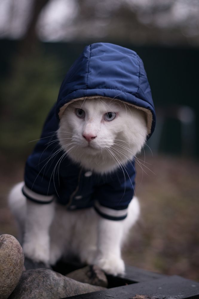 Photograph by Svetlana