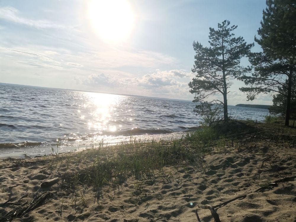 Photograph by Светлана Муравьева