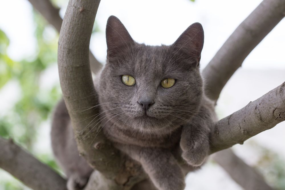 Photograph by Наталья Снеговая