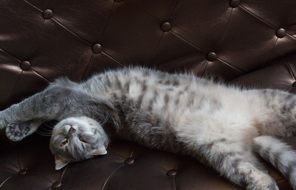 Photograph by Наталья Снеговая