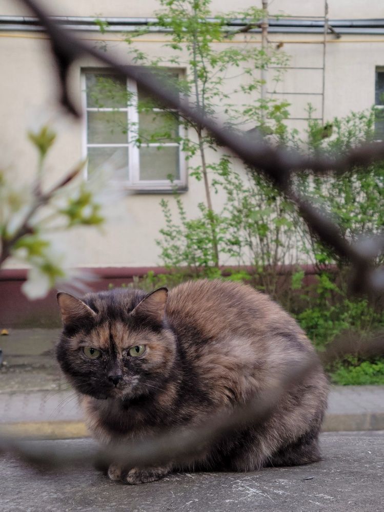 Photograph by Алина