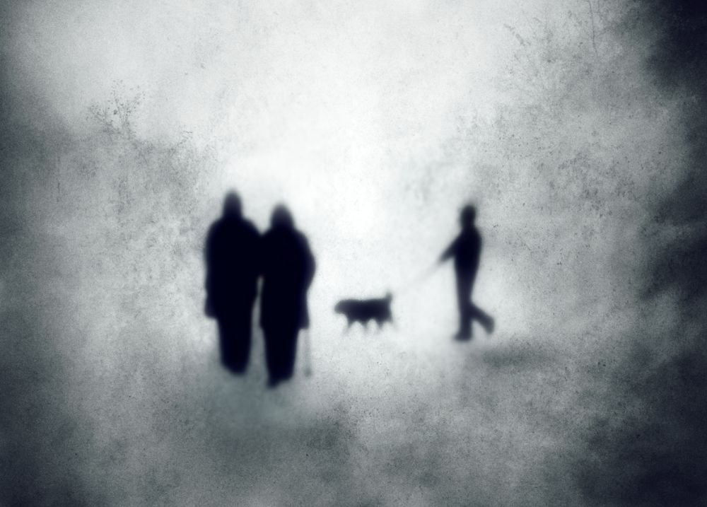 Photograph by Karim Bouchareb