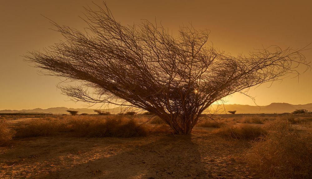 Photograph by 