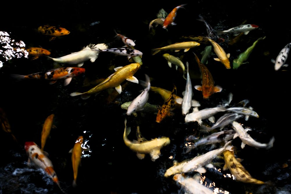 Photograph by Егор Кочергин