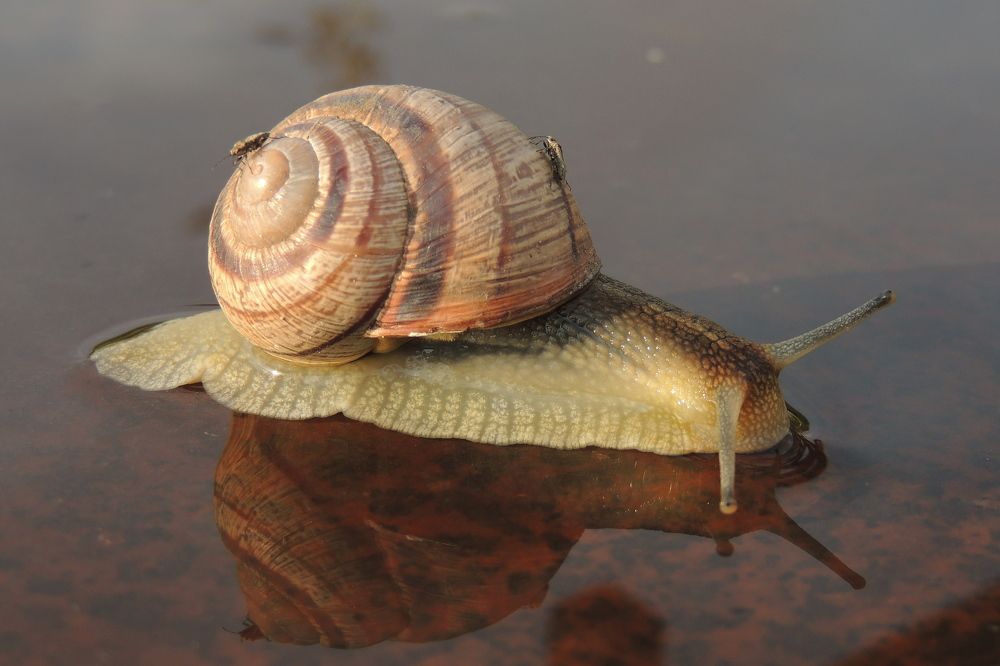 Photograph by Олег Радионов