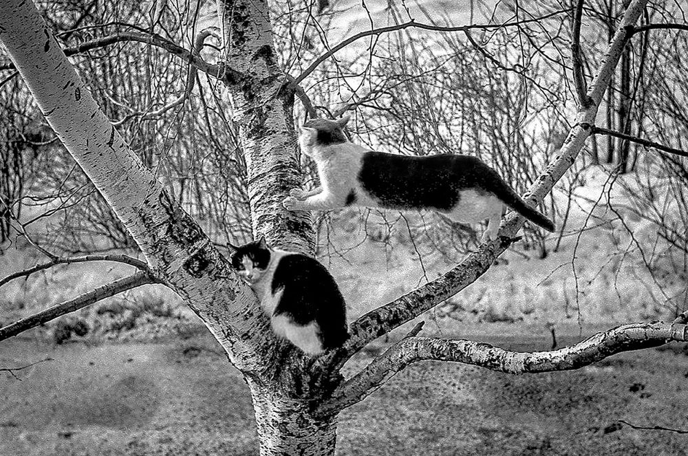 Photograph by Вячеслав Лычков