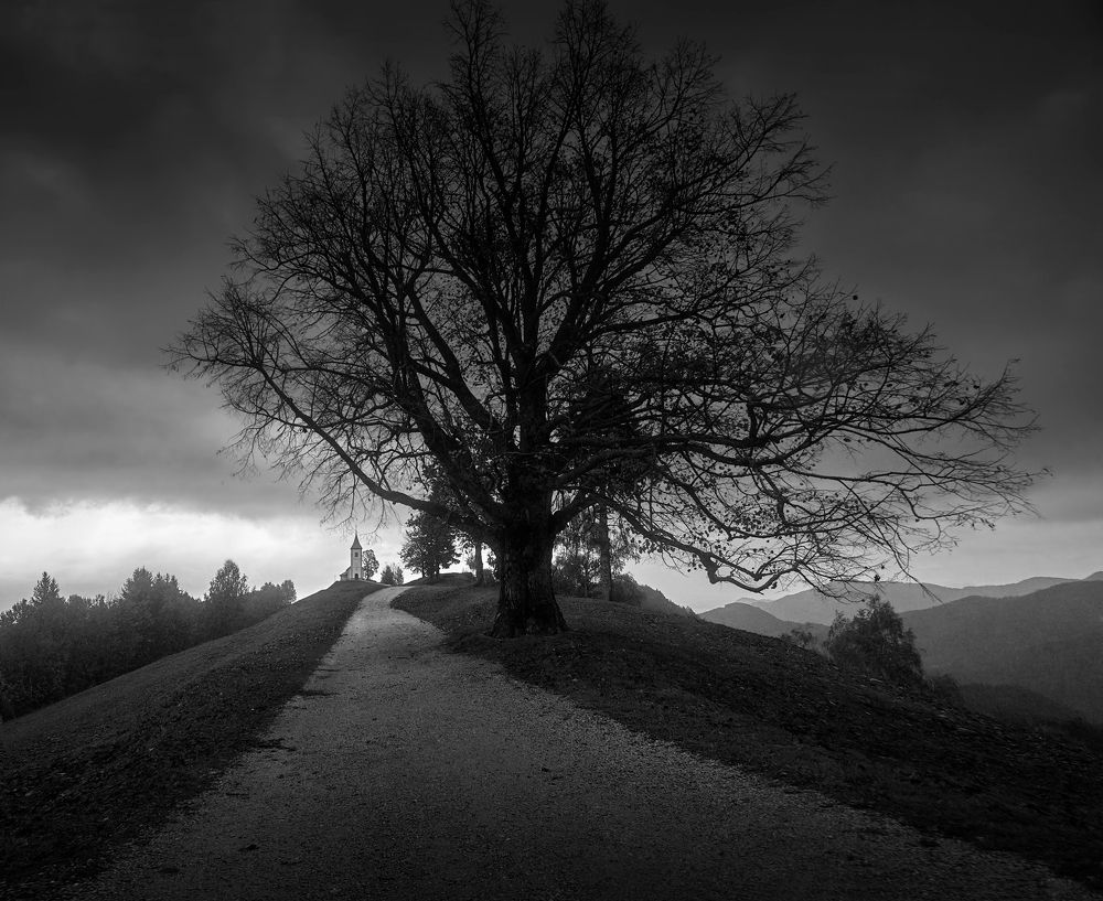 Фотография автора 