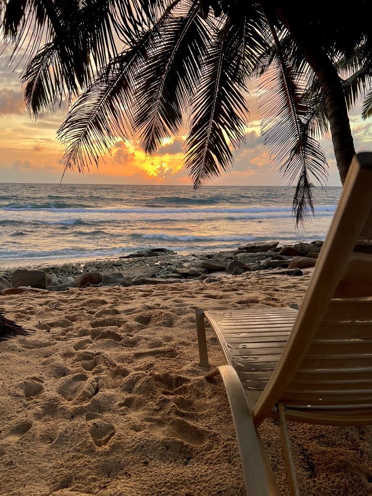 Photograph by Елена Ковалева