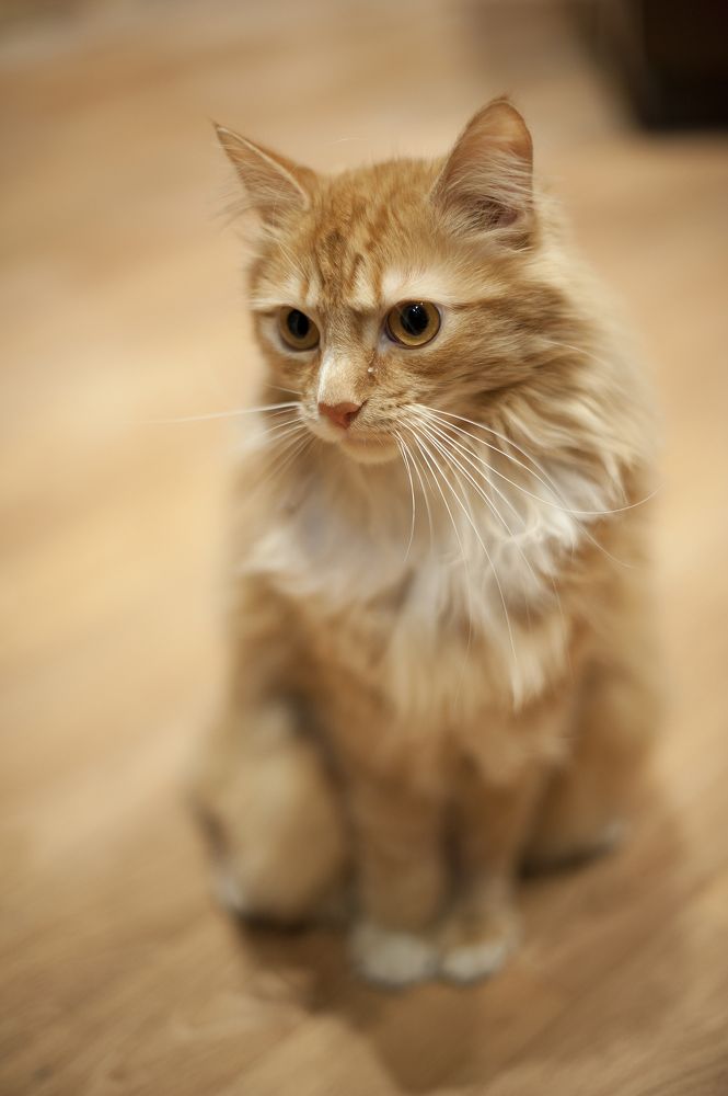 Photograph by ARTEM KORZHUKOV