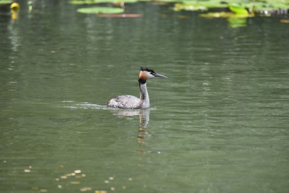 Photograph by Anna Zelinskaya