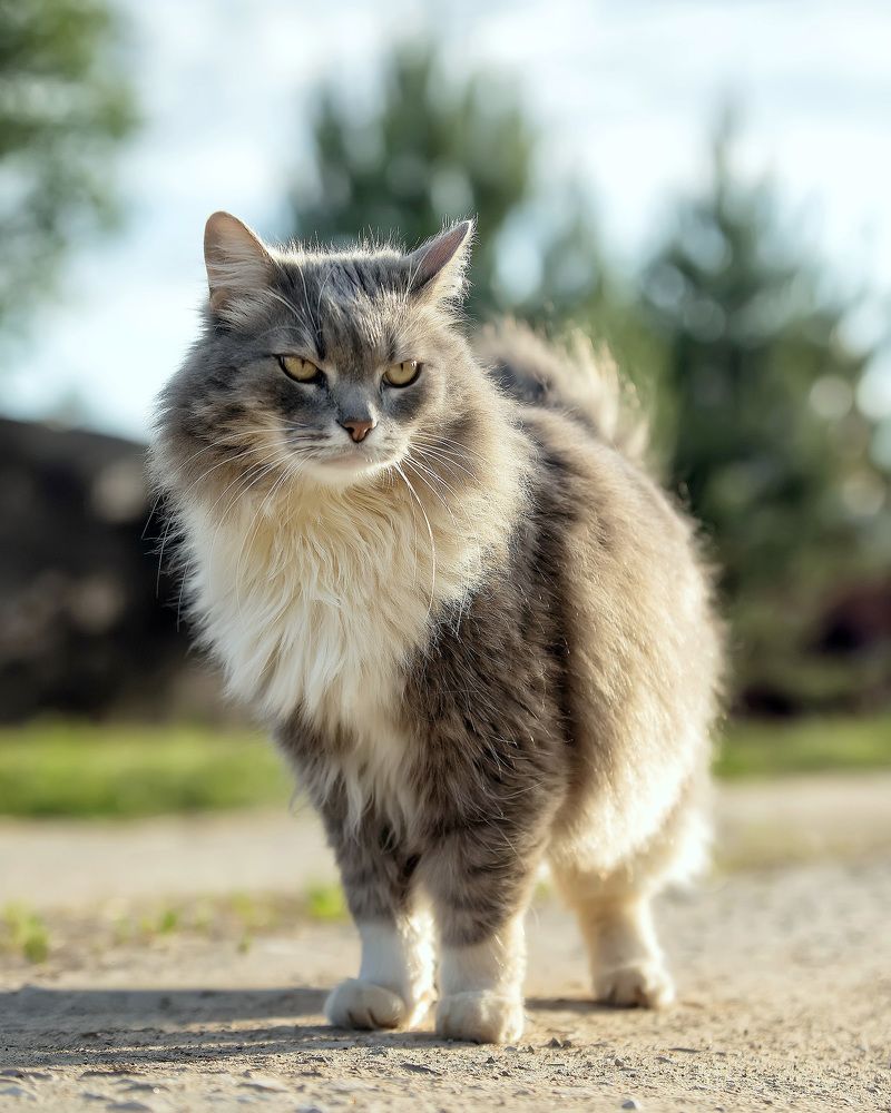 Photograph by Андрей Автухов