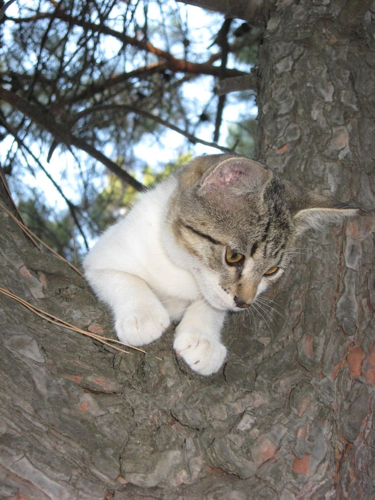 Photograph by Наталия