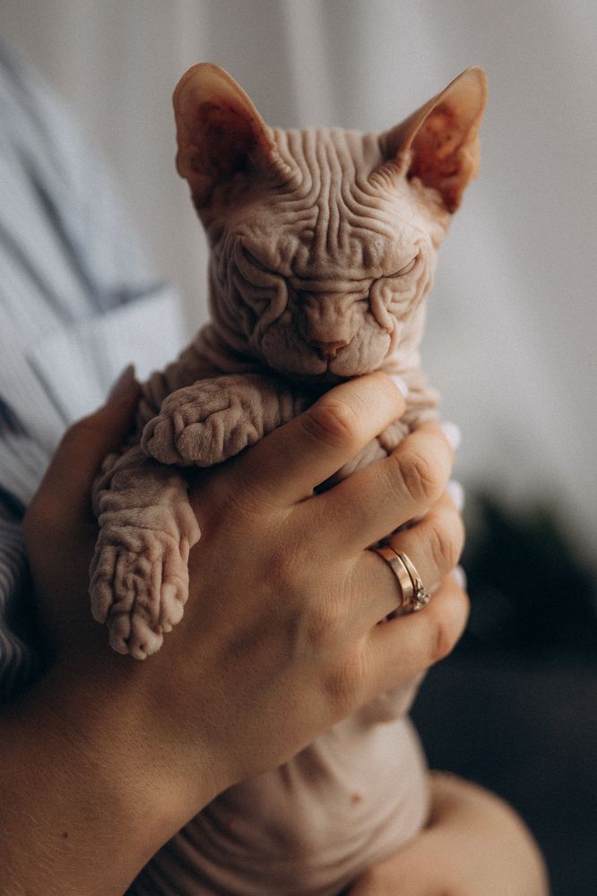 Фотография автора Юля Насифуллина