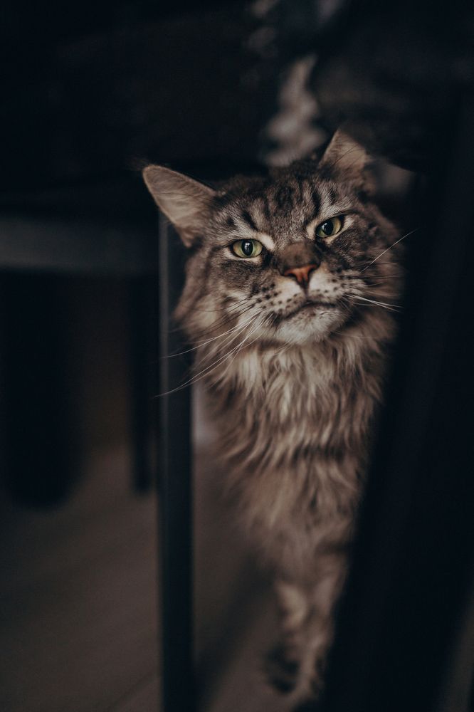 Фотография автора Юля Насифуллина