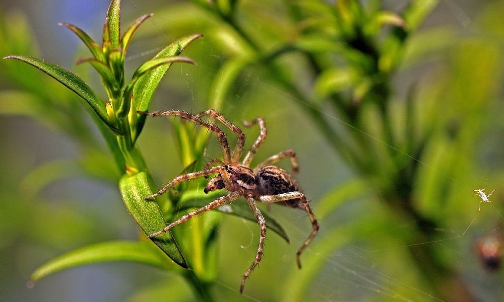 Photograph by Заболотская Ольга