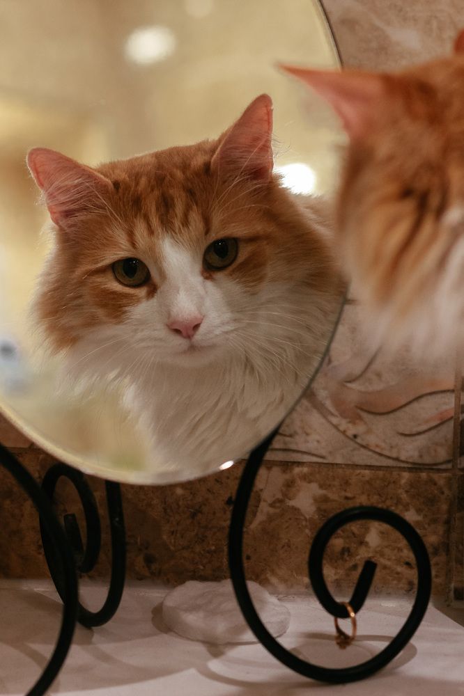 Photograph by Наталья Преснякова