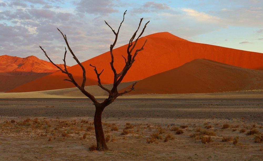 Photograph by Диана Жагрина