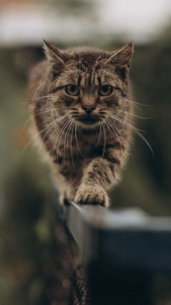 Photograph by Юлия Насифуллина