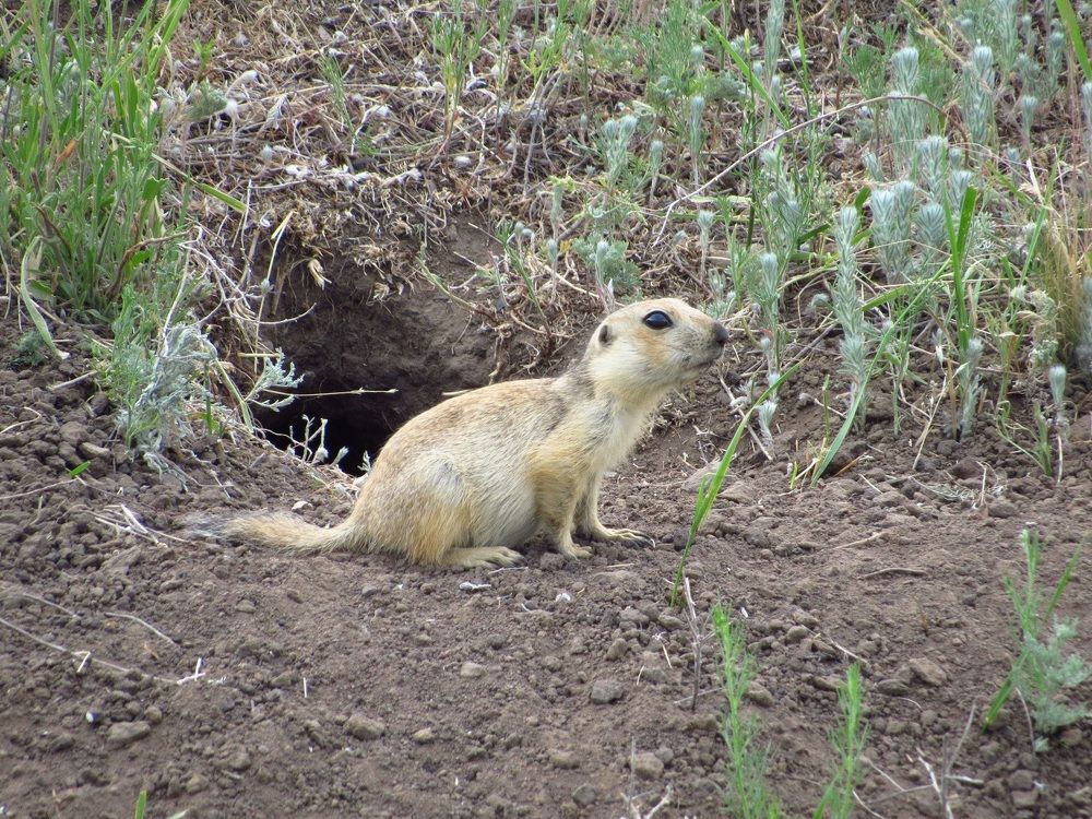 Photograph by Денис Веску