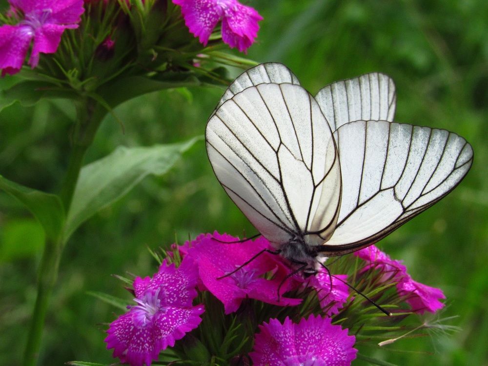 Photograph by Денис Веску