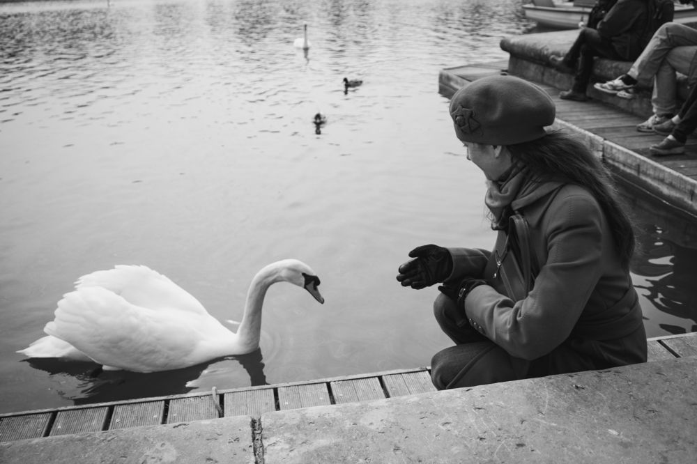 Photograph by Андрей Безгин