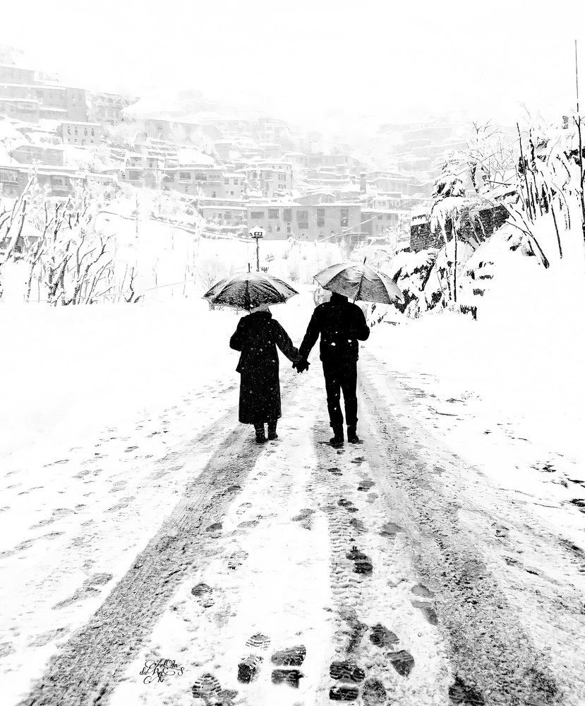 Photograph by Artin darvishi