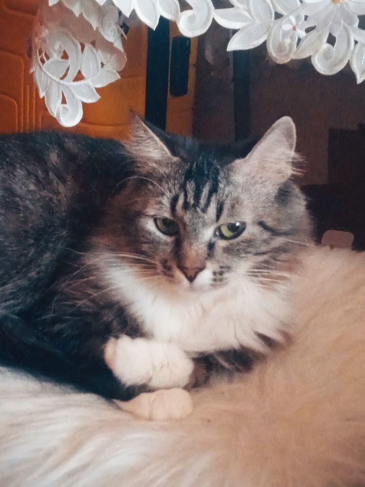 Photograph by Наталия Колемасова