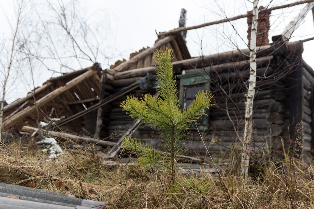 Photograph by Вячеслав