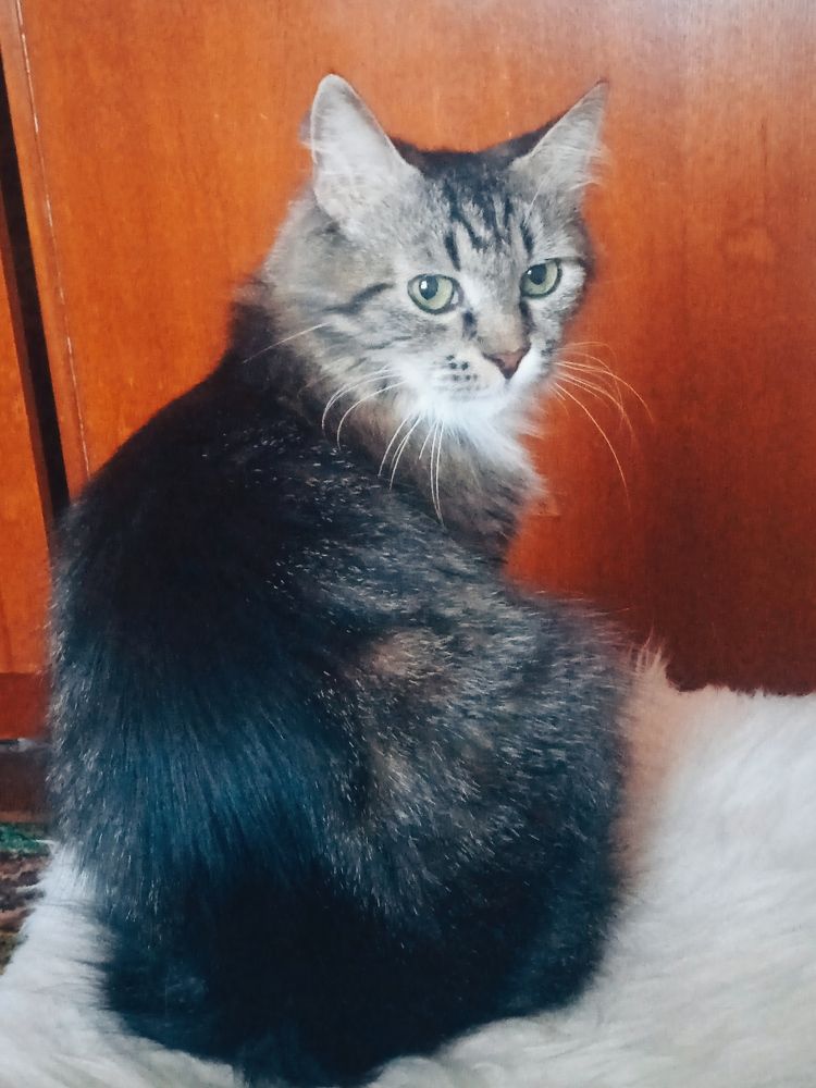 Photograph by Наталия Колемасова