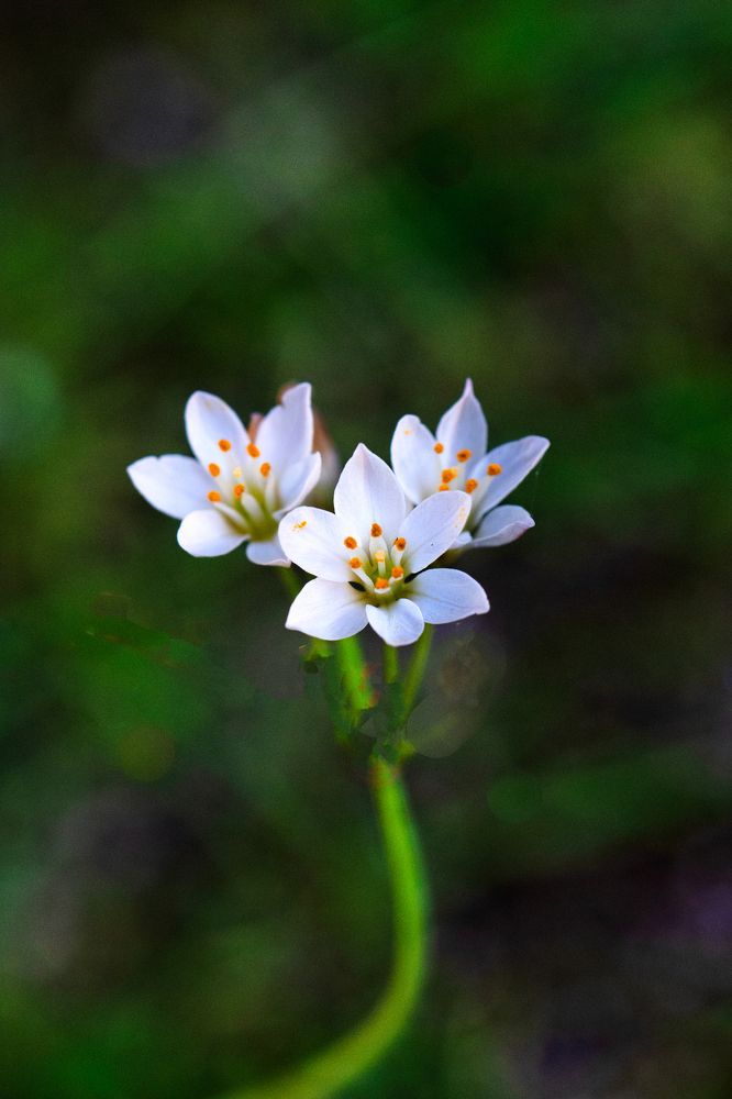 Photograph by Jose Pinto