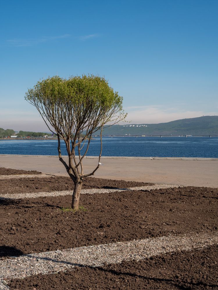 Photograph by Шейко Анна