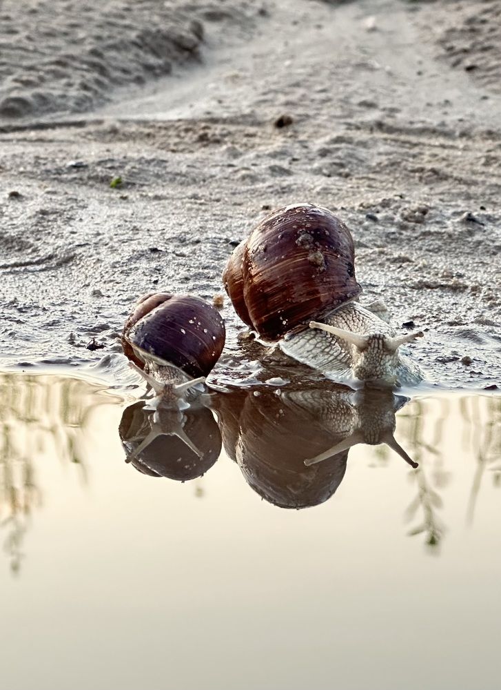 Photograph by Марина Суздаль