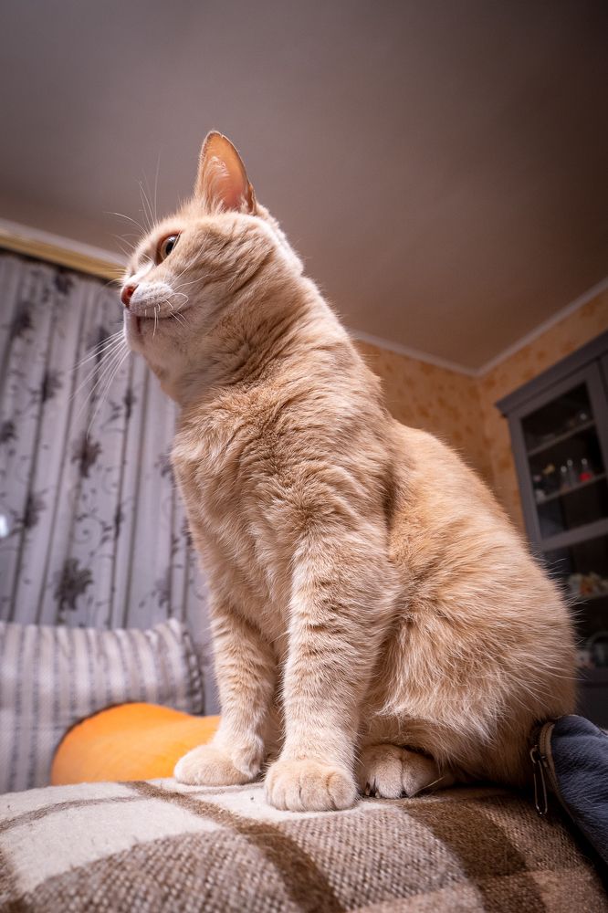 Photograph by Лебедев Кирилл