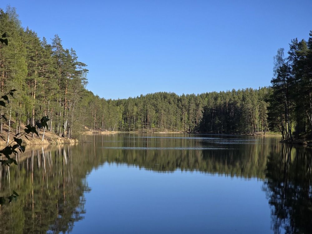 Photograph by Татьяна Дмитриева