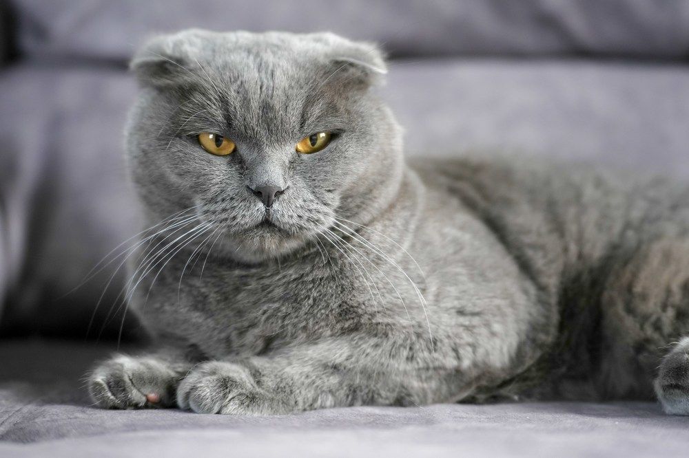 Photograph by Марина Суздаль