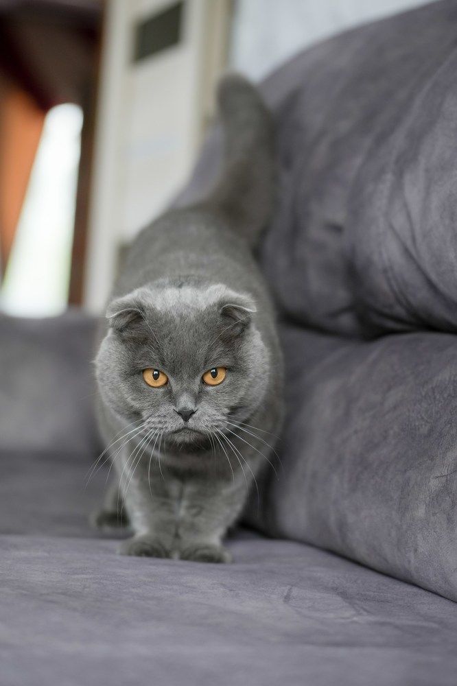 Photograph by Марина Суздаль