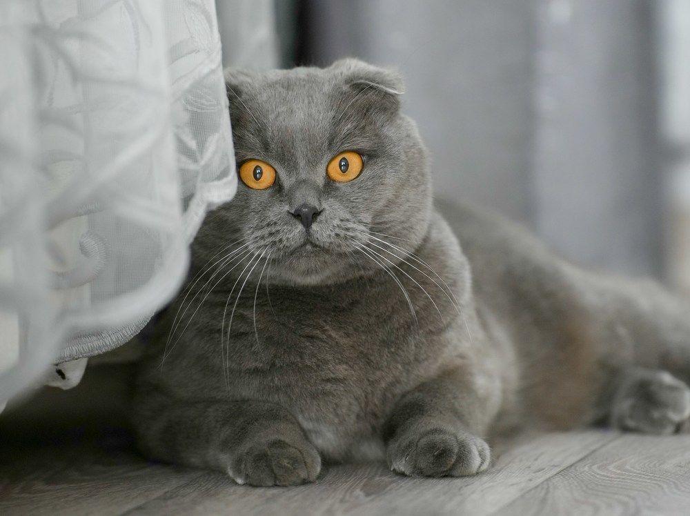 Photograph by Марина Суздаль