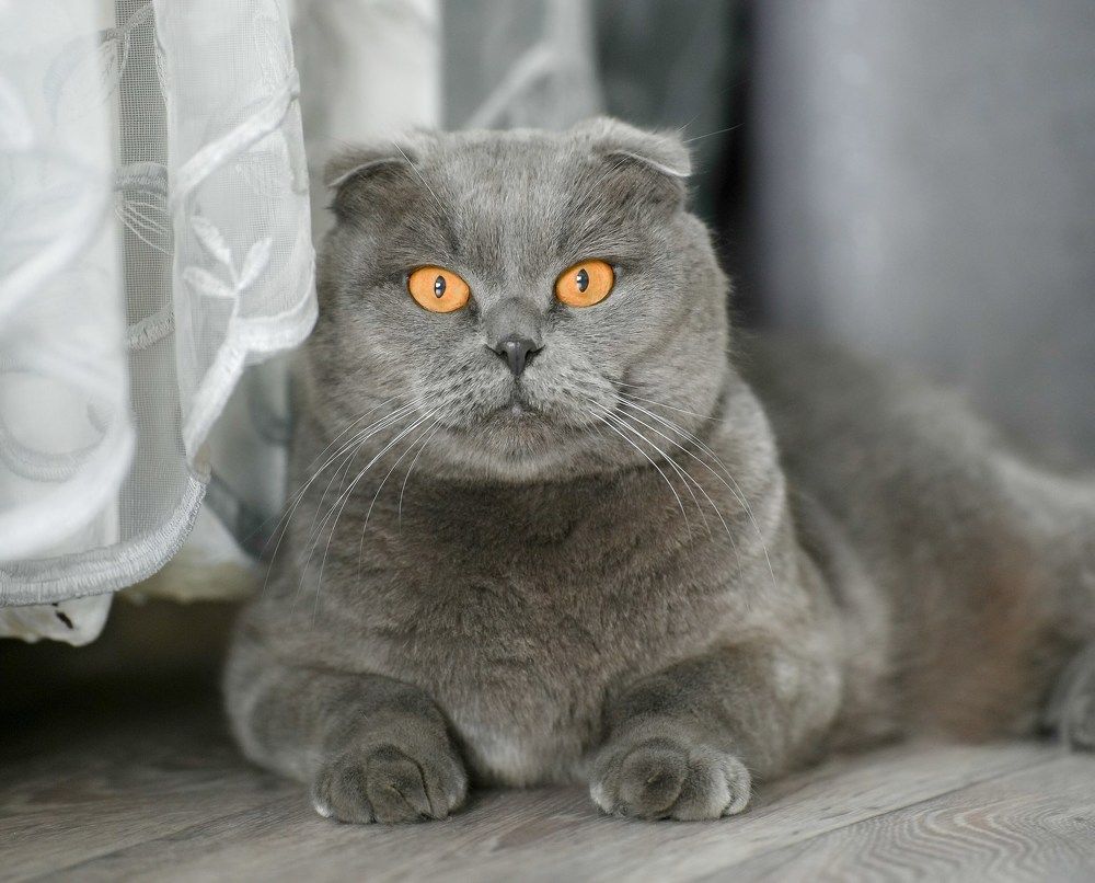 Photograph by Марина Суздаль