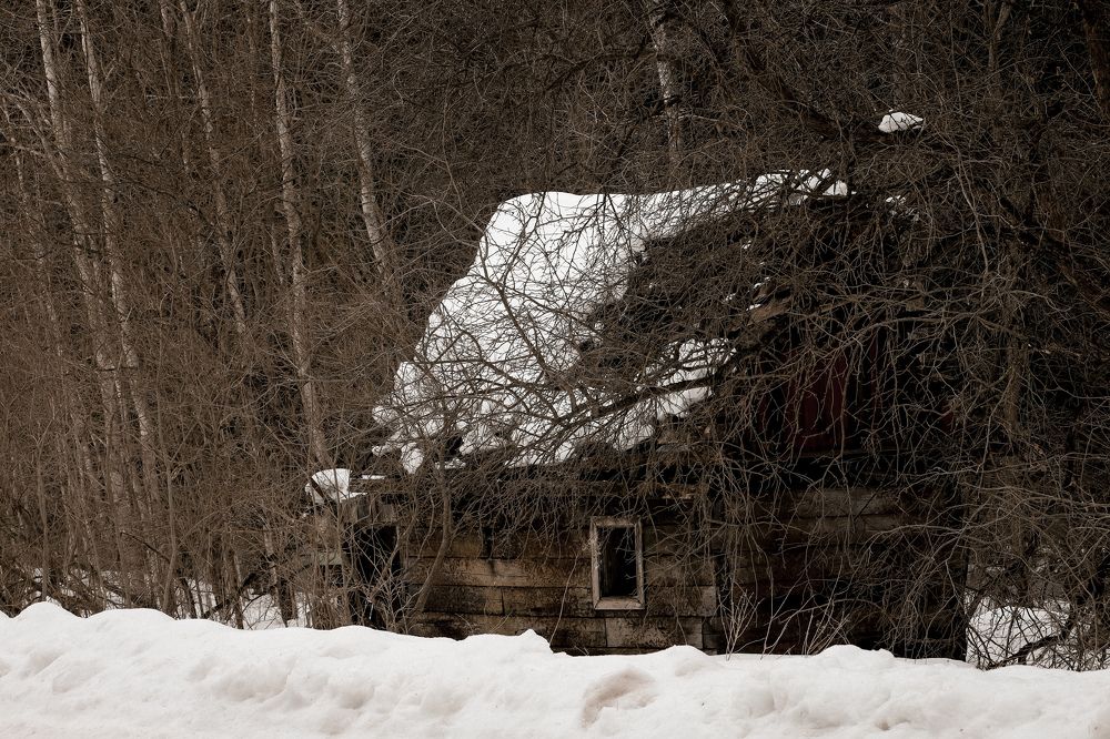 Photograph by Екатерина Савастина