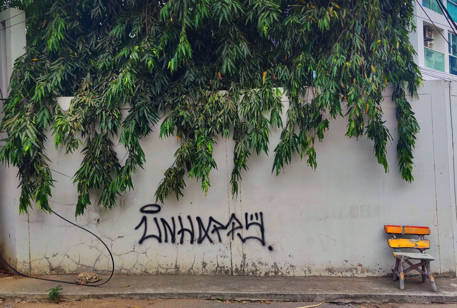 Photo #10690956