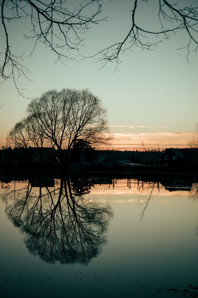 Photograph by Екатерина Савастина