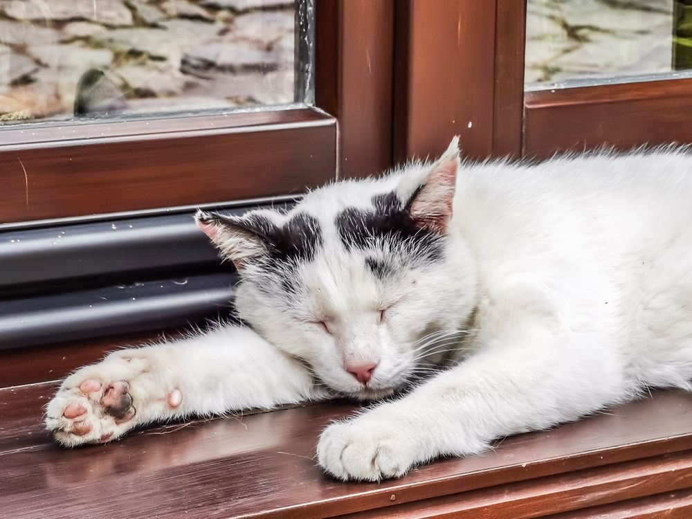 Photograph by Nikolay Draganov