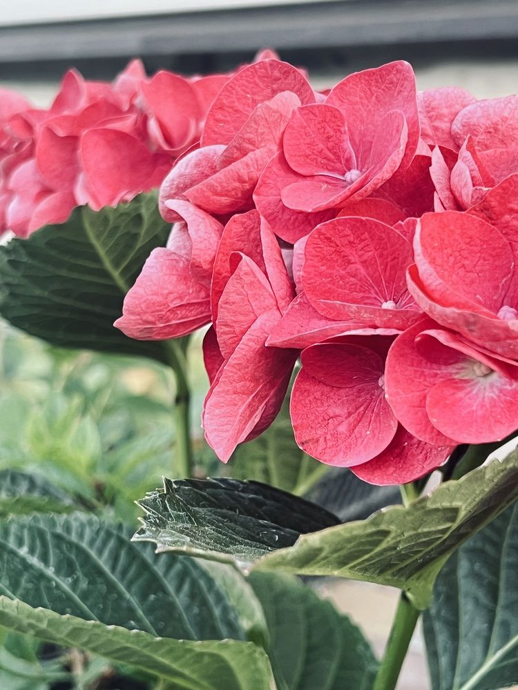 Photograph by Екатерина Савастина