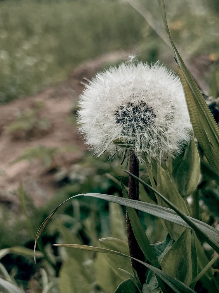 Photograph by Екатерина Савастина