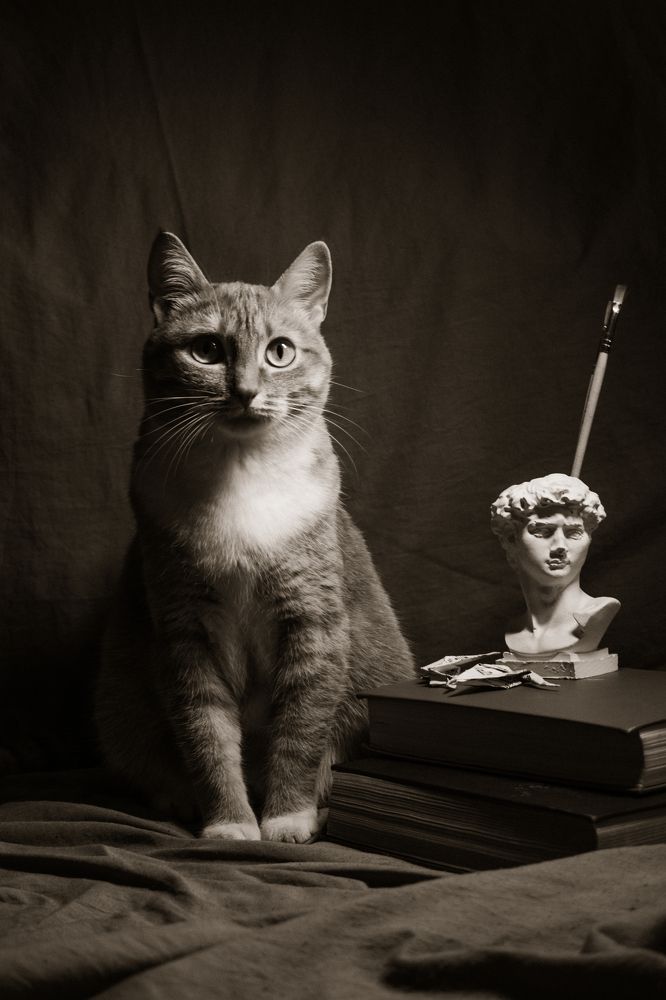 Photograph by Вадим Вейдт