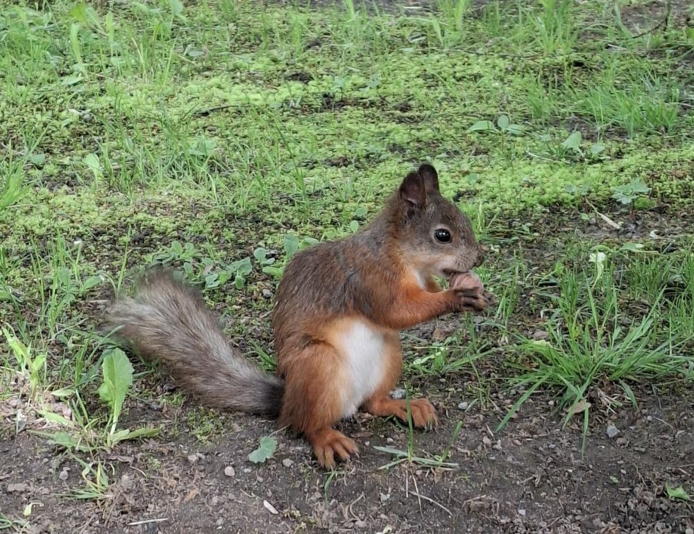 Photograph by Юлия Добровольская