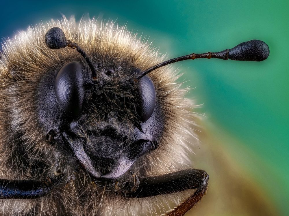 Photograph by Олег Савицкий